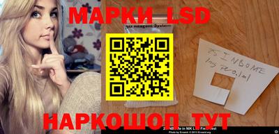 хмурый Кингисепп