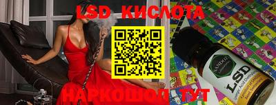 хмурый Кингисепп