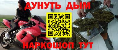 хмурый Кингисепп