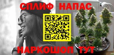 мдпв Кинель