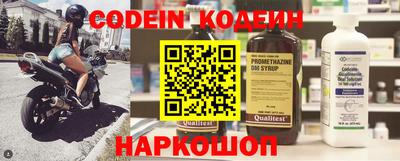 хмурый Кингисепп