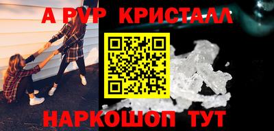 хмурый Кингисепп